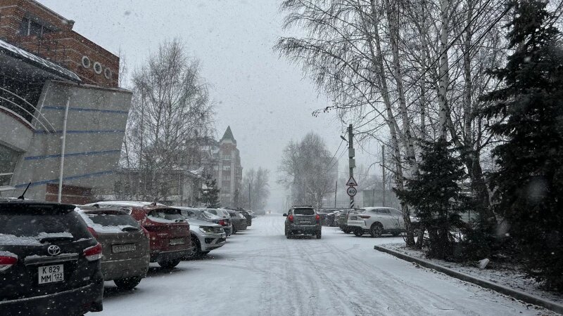     Метель в Барнауле 8 ноября. Кристина Тарасова