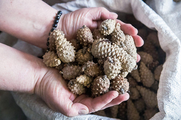    Фото Андрея Заржецкого