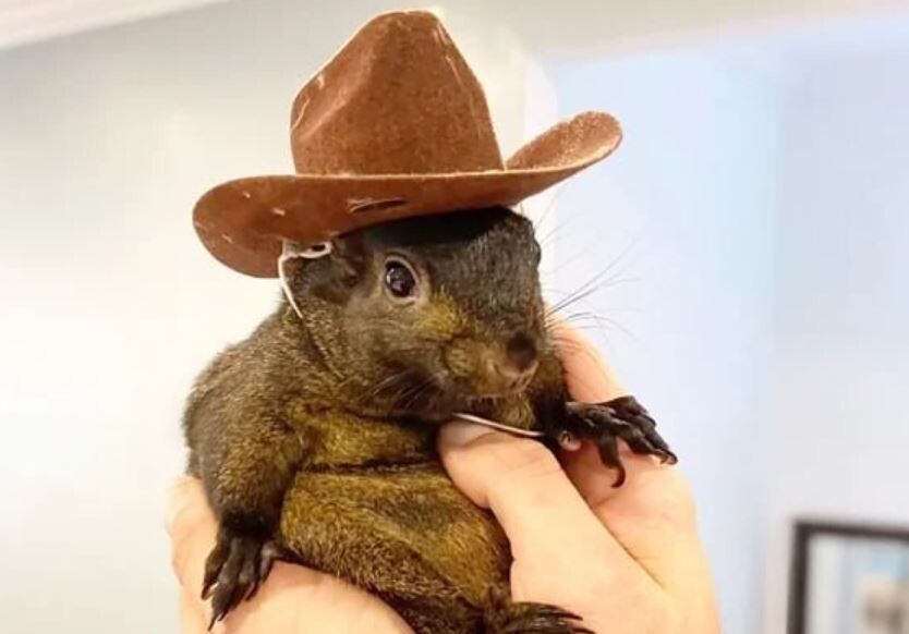     / Источник: Кадр из соцсети