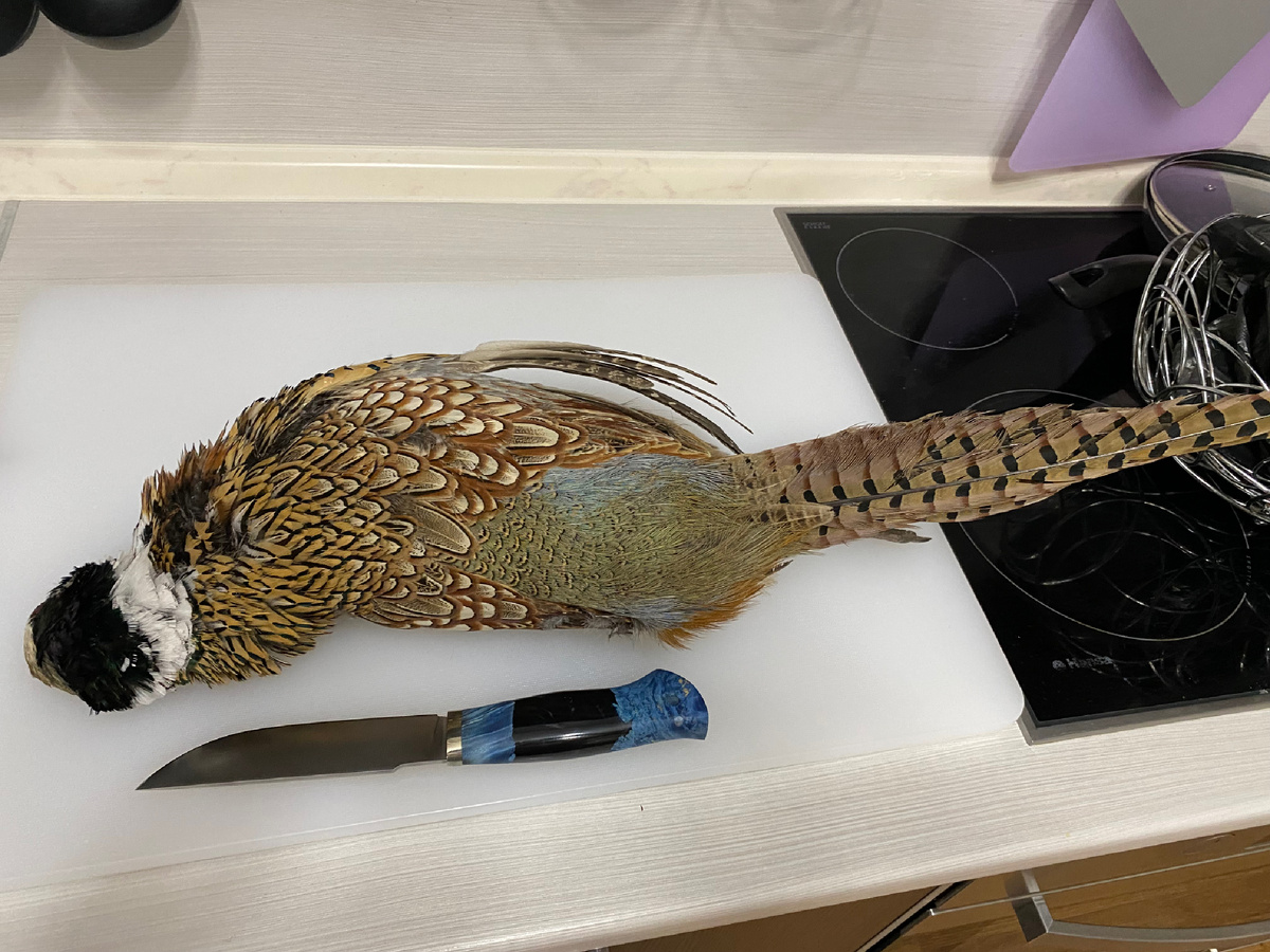 Никакая камера не передаст красоту петуха! 