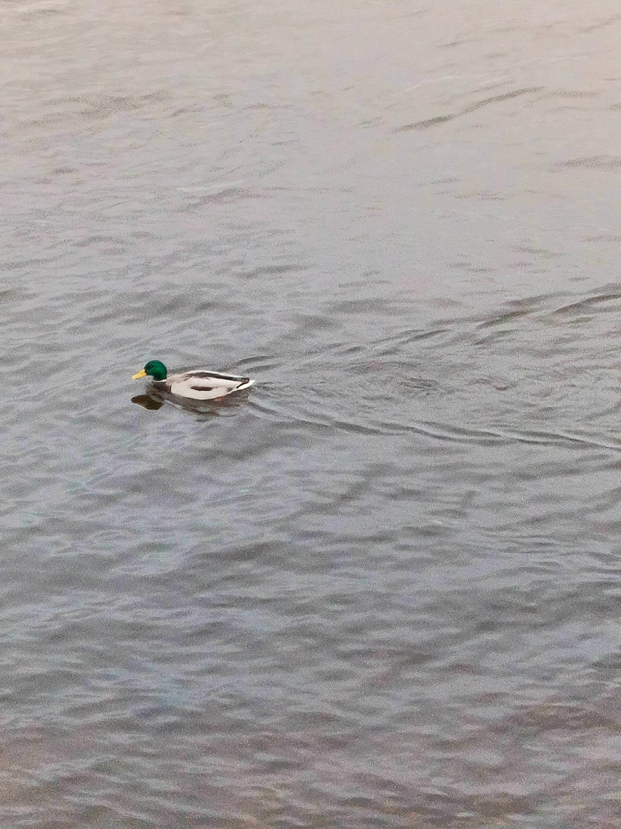 Фото из архива автора канала