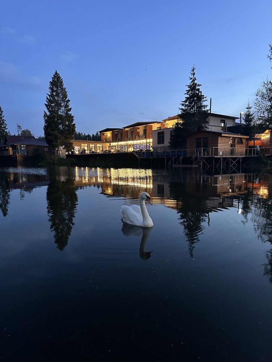Экодеревня Бабиндвор - идеальное место для проведения свадеб