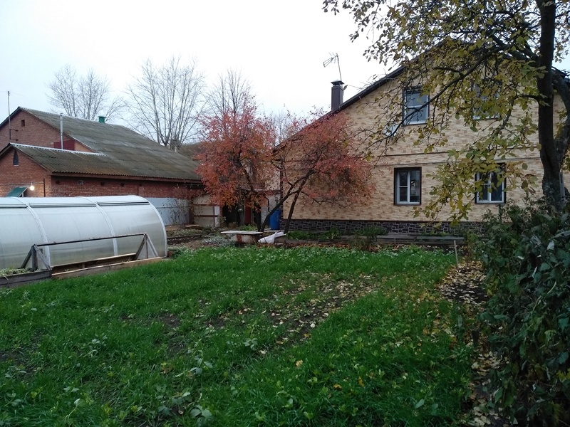 Вишни краснеют и скидывают листву, а рожь и бабы зеленеют