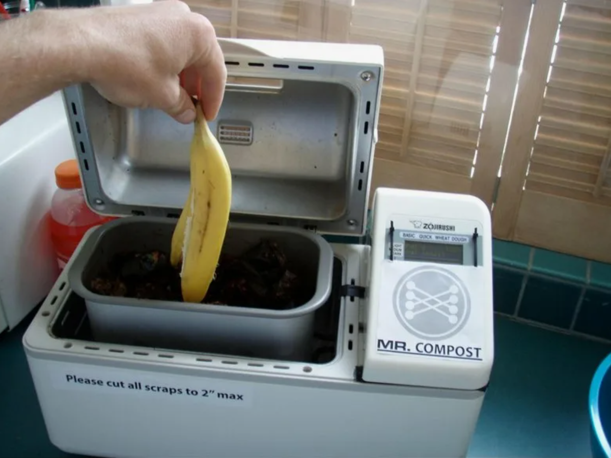 Источник фото: hi-tech.mail.ru