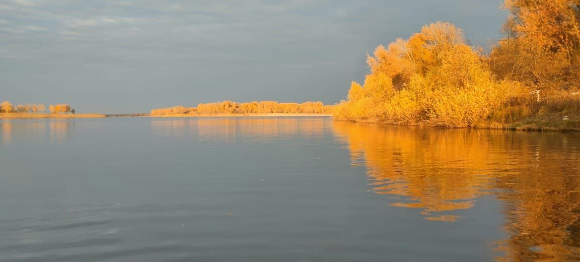 Природа в ноябре