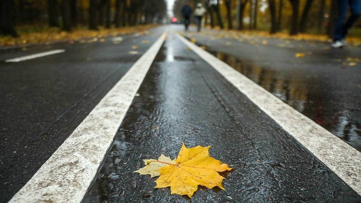    Фото: Артур Новосильцев / АГН Москва