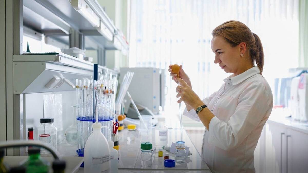    Фото: Telegram / мэр Москвы Сергей Собянин