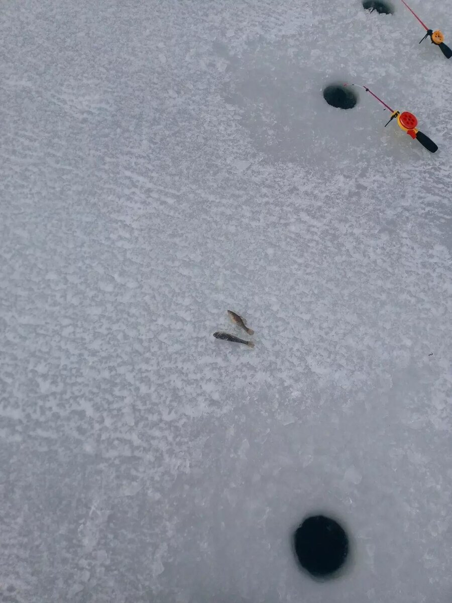     Источник: РЫБАЛКА в Тюменской области