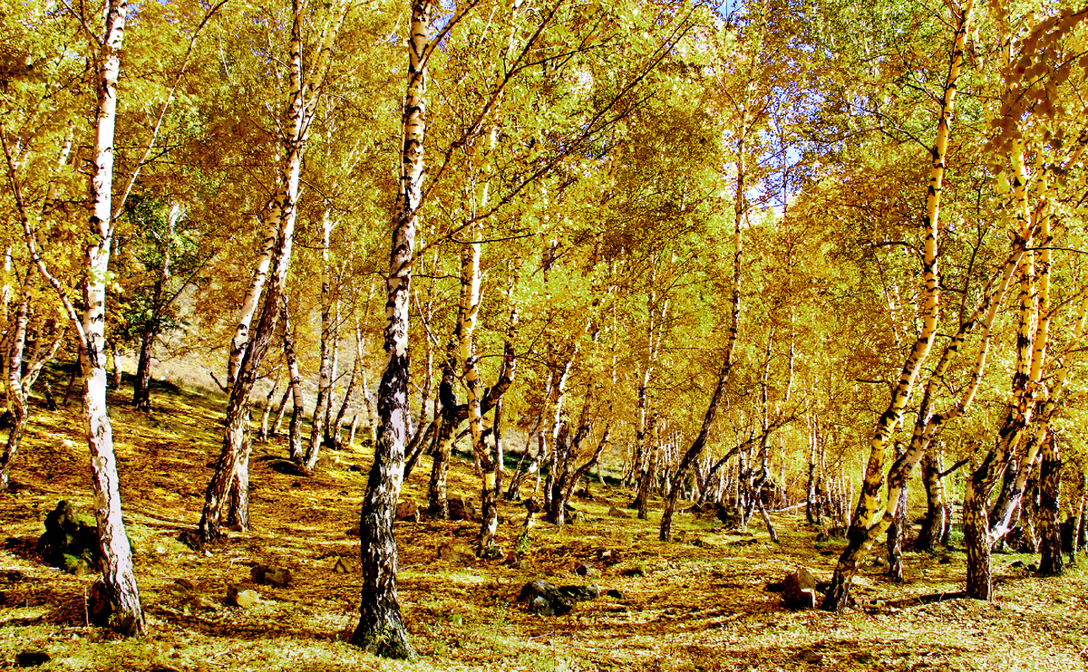 Фотография, стихотворение Василия Глуцкого