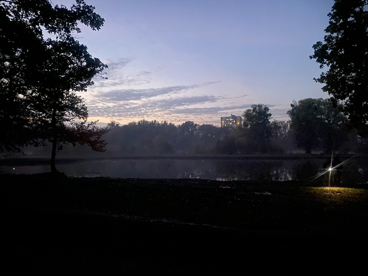 Леснуха у дома