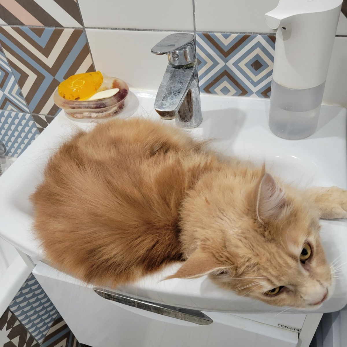 Здесь Котя в ванной добровольно)