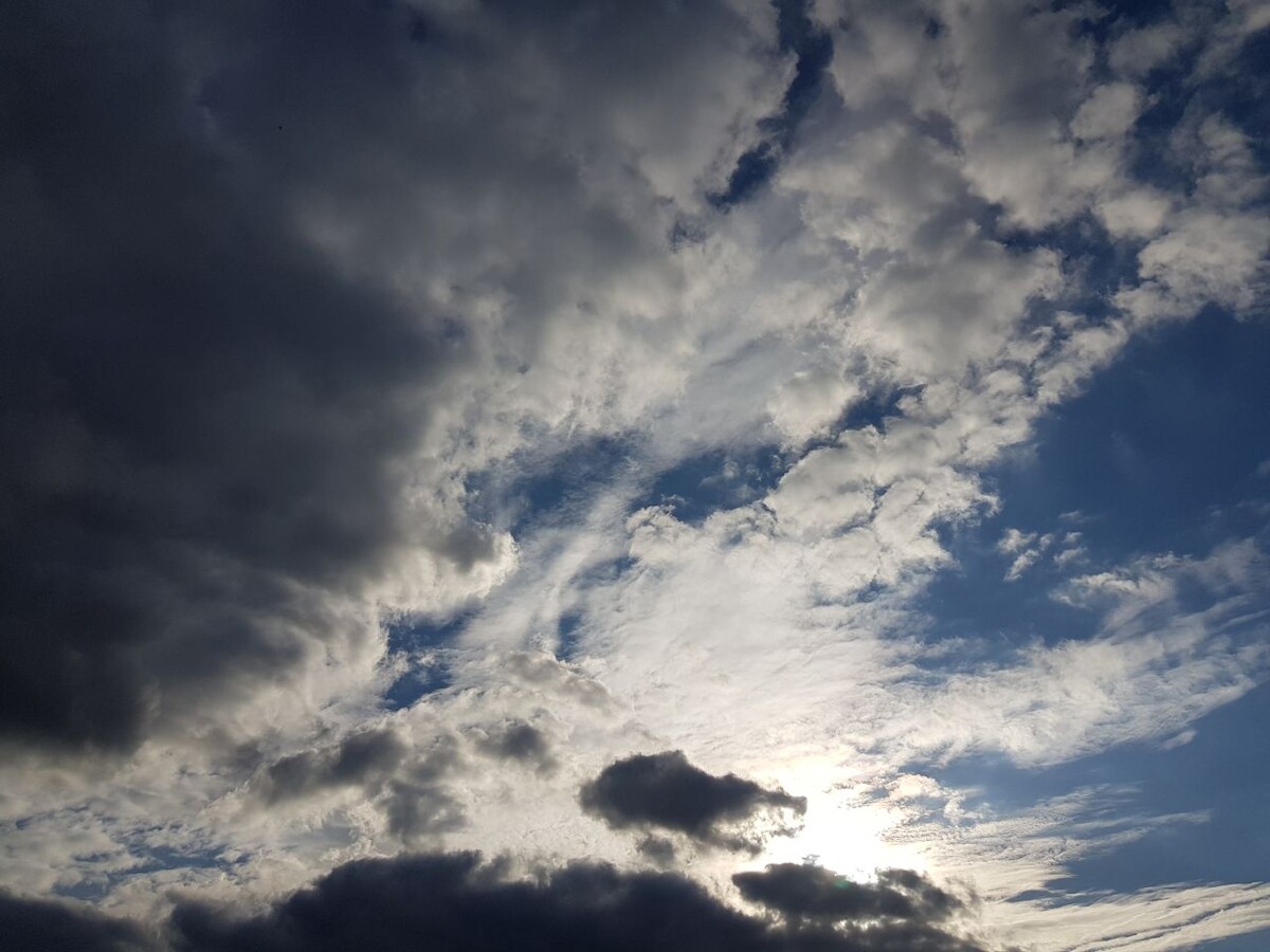 Форпост Северо-Запад/Валерия Оганова