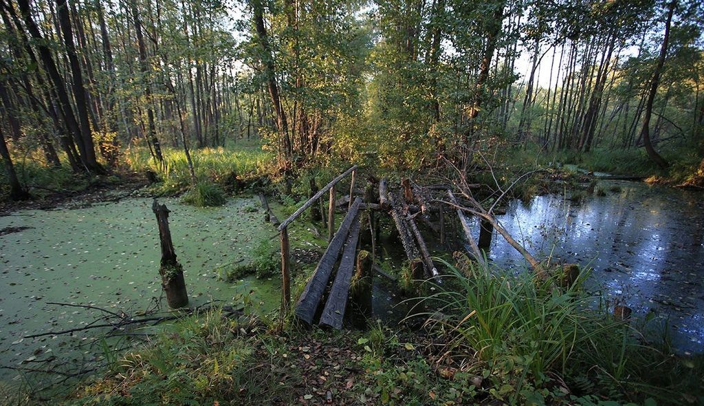 https://places.moscow/images/urochische-shushmor/1.jpg
