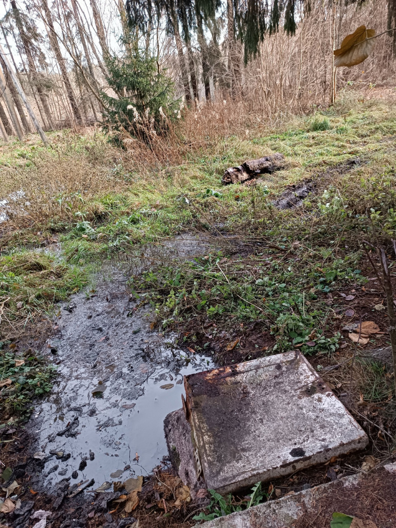    Поток нечистот затопил поляну в ЛахденпохьеЛахденпохьЯ - НАВСЕГДА! / ВК