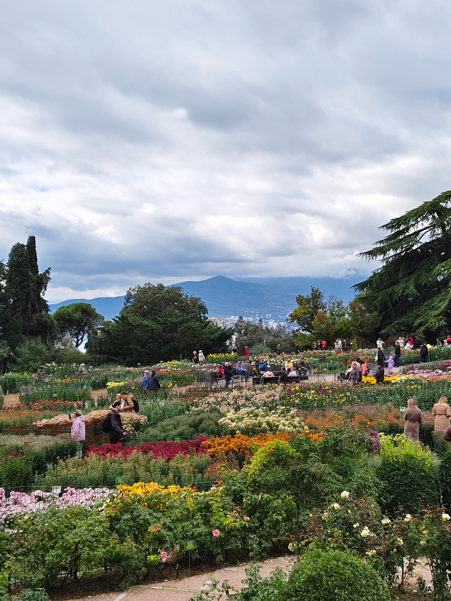 Здесь и далее фото автора