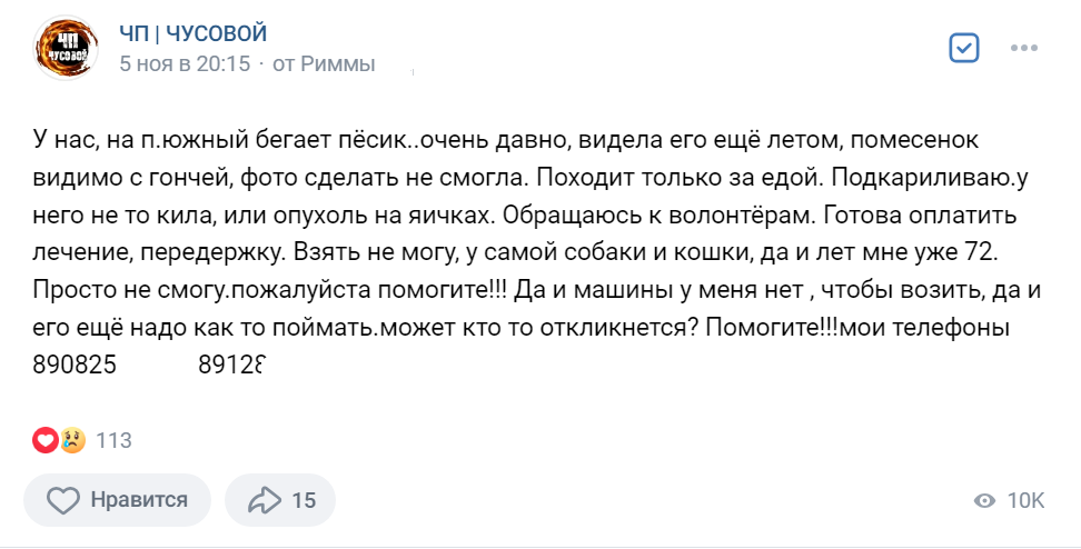 Вот так началась эта история для нас