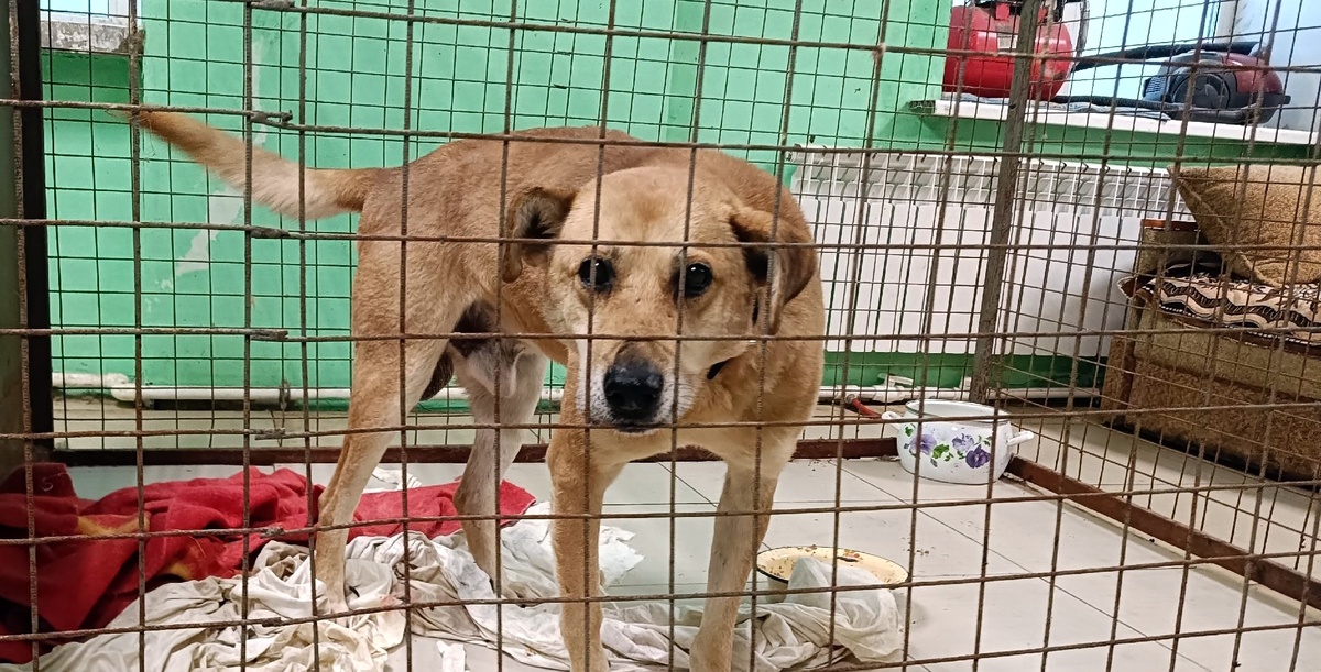 Привет, Юджин, не горюй. Не ты - первый, не ты - последний, все наладится!