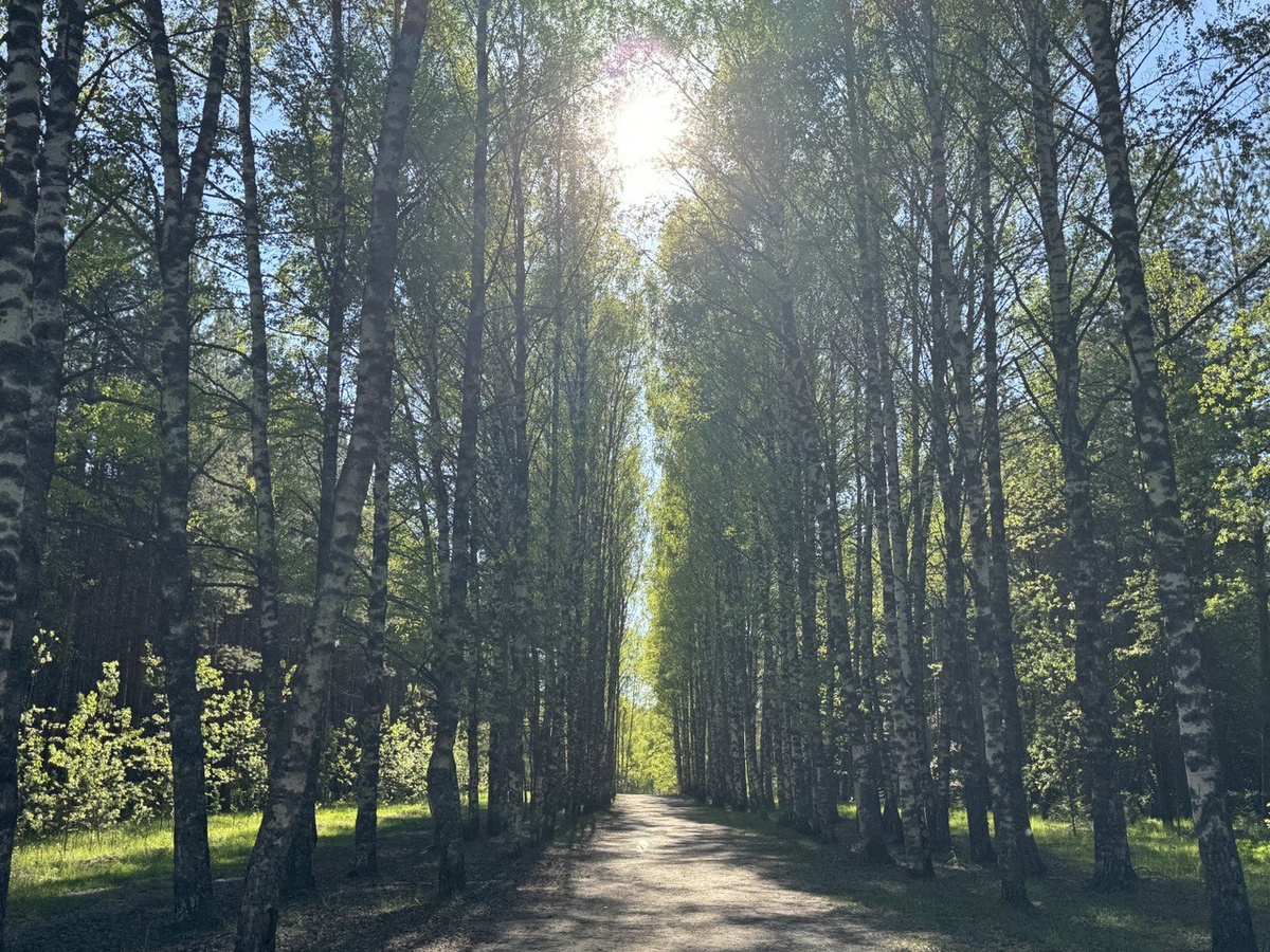 Красота природы