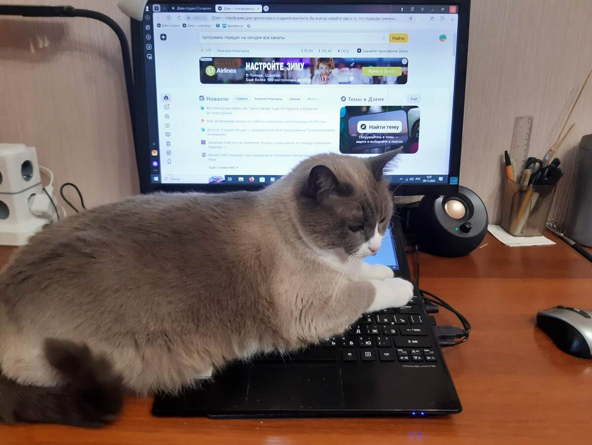 Фото автора.