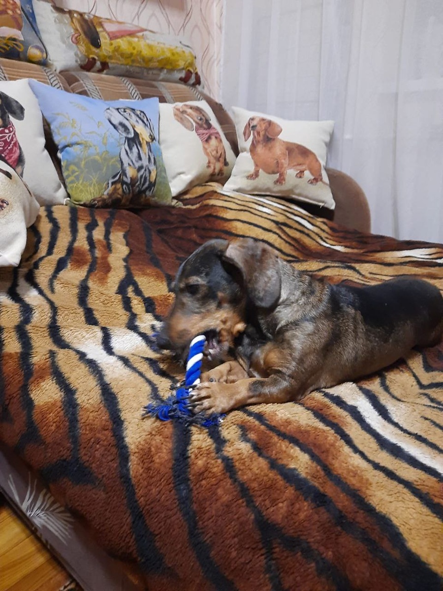 Друзья, обратите внимание на подушки, Вам сразу все станет понятно)