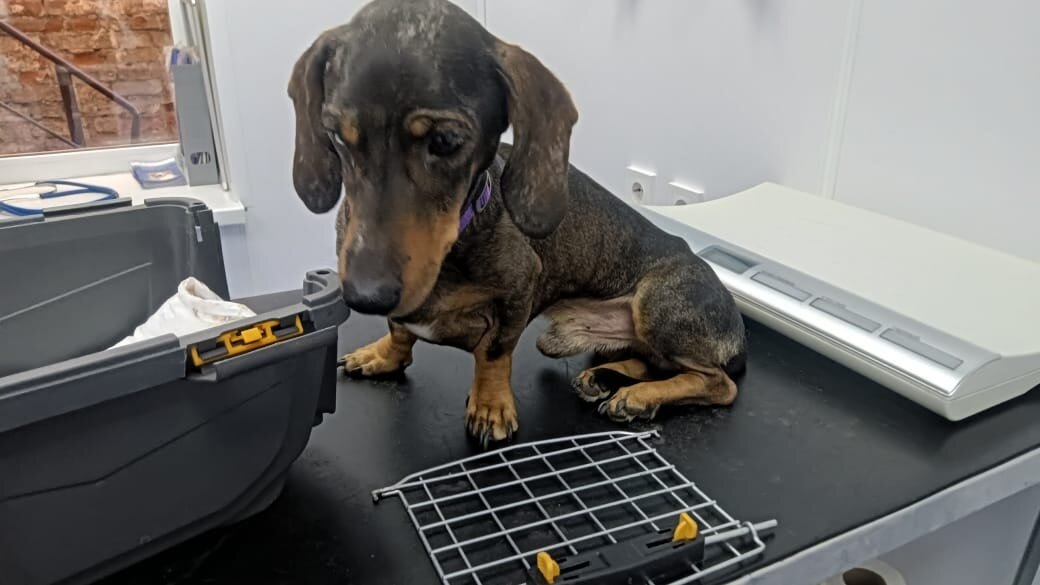 Казалось, что ничего хорошего он уже не ждет...