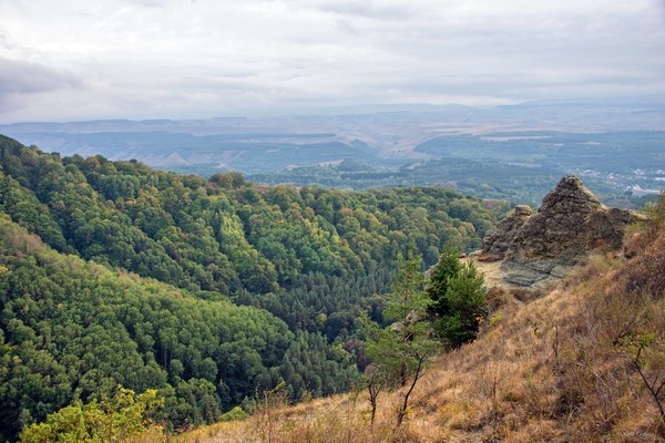 Иногда это неплохо ... просто пожить в там где величие природы и человеческого духа тебя поражает с первого мгновения ...   

Осень в Кисловодском парке ...   

  