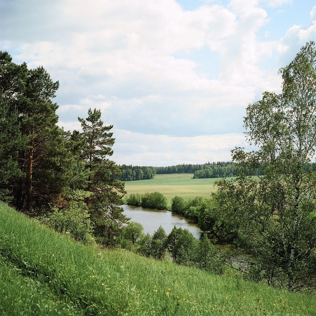 Московская область, Ступинский район, с. Хатунь, река Лопасня. Пленка Kodak Portra 160. 