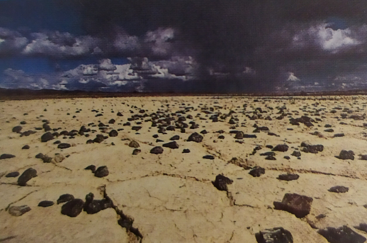 Пустыня Гоби