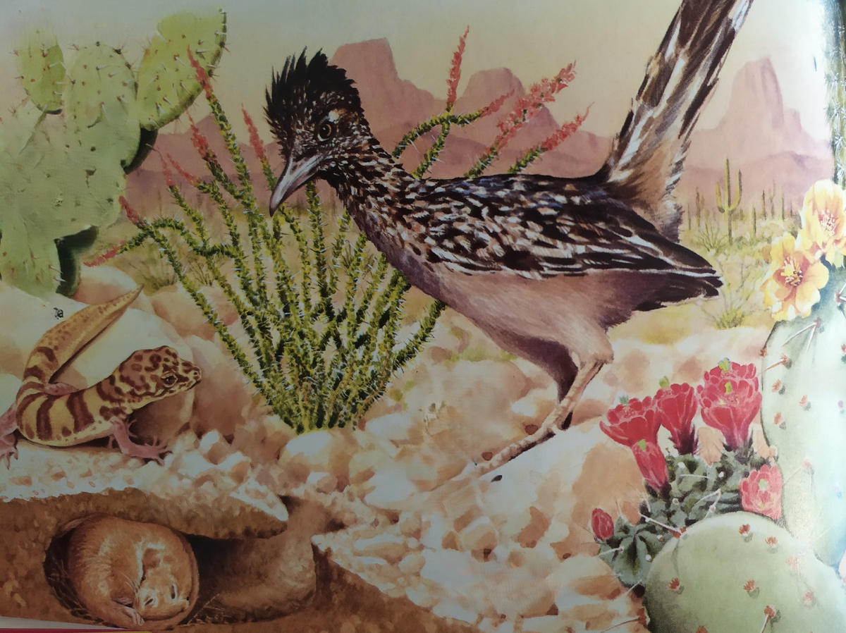 Пустыня днём