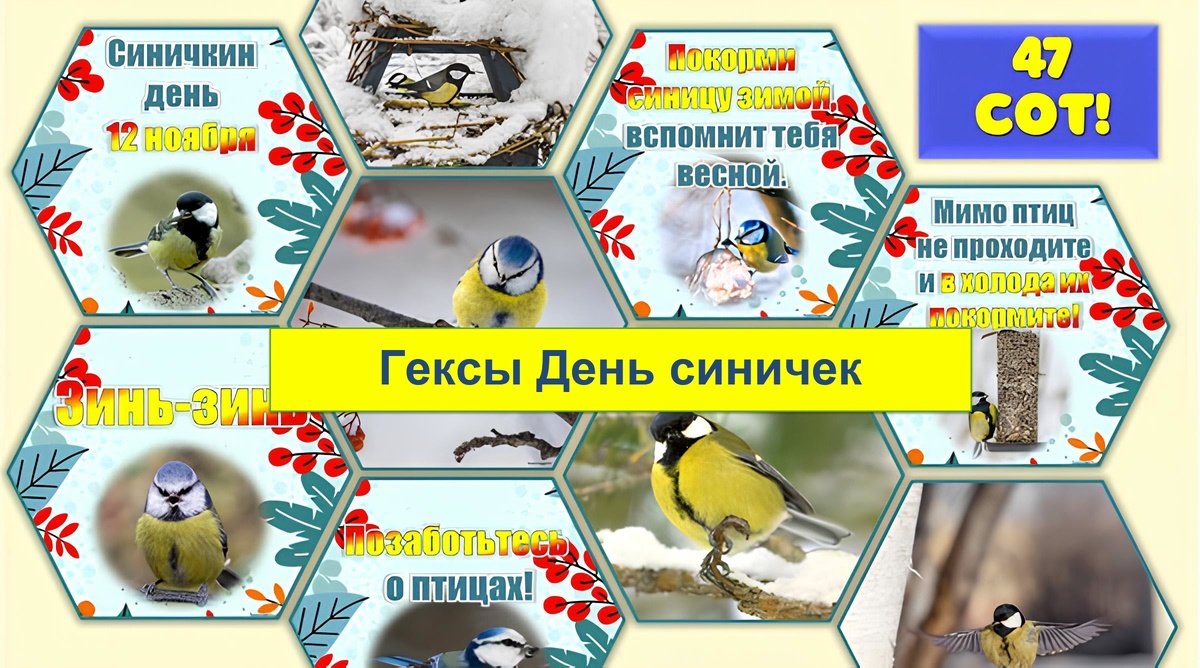 Гексы "День синичек" для украшения праздника и информирования детей