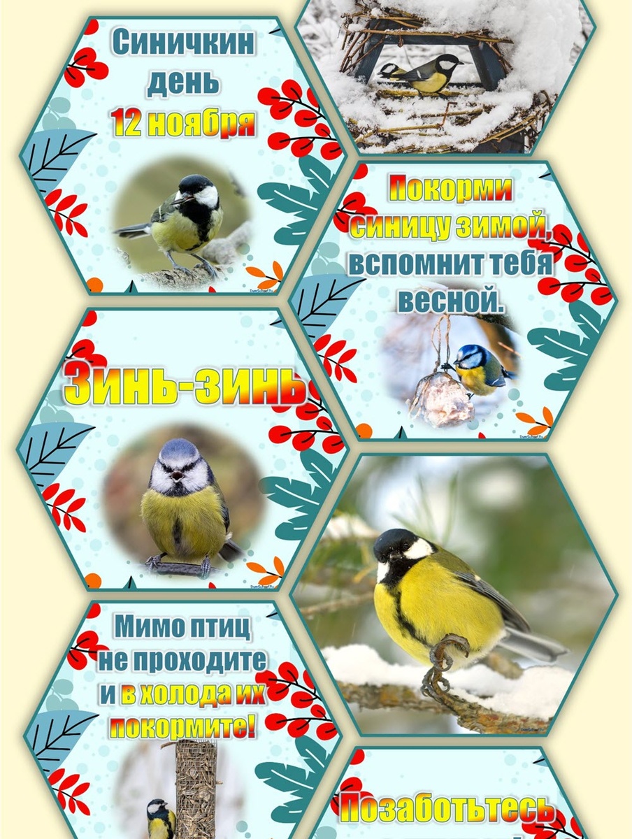 Образцы сот