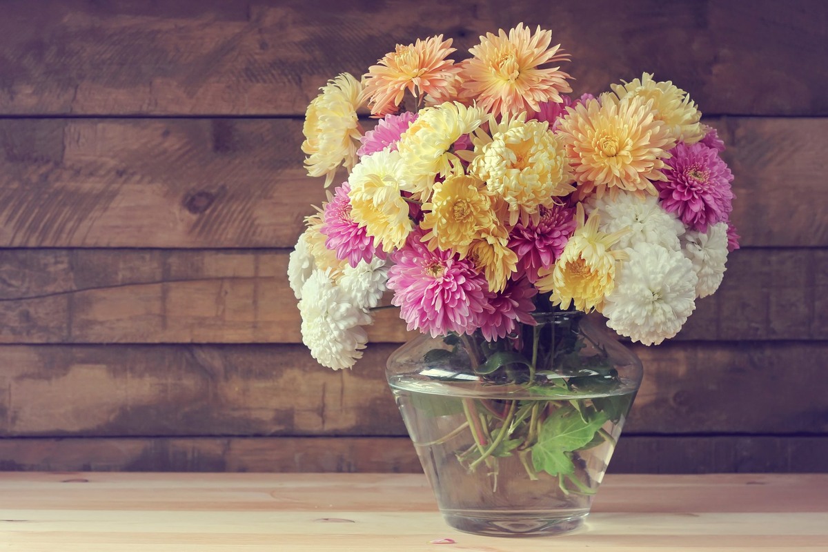     Как продлить жизнь срезанным хризантемам: 5 способов обеспечить длительное цветение в вазе