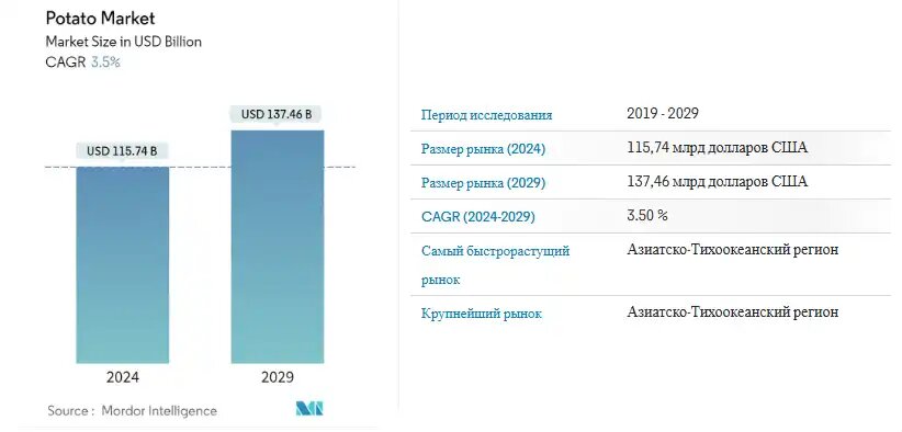 Прогноз развития рынка картофеля до 2029 года, источник: Mordor Intelligence