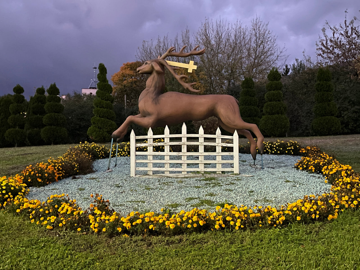 Белоруссия Гродно