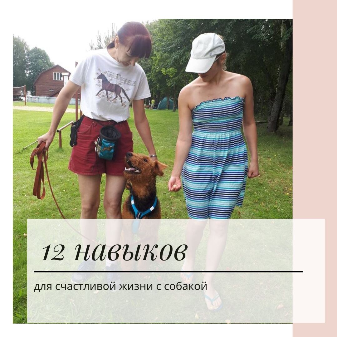 Фото: 12 навыков для счастливой жизни с собакой, кинолог, зоопсихолог Екатерина Кастрицкая, консультации онлайн