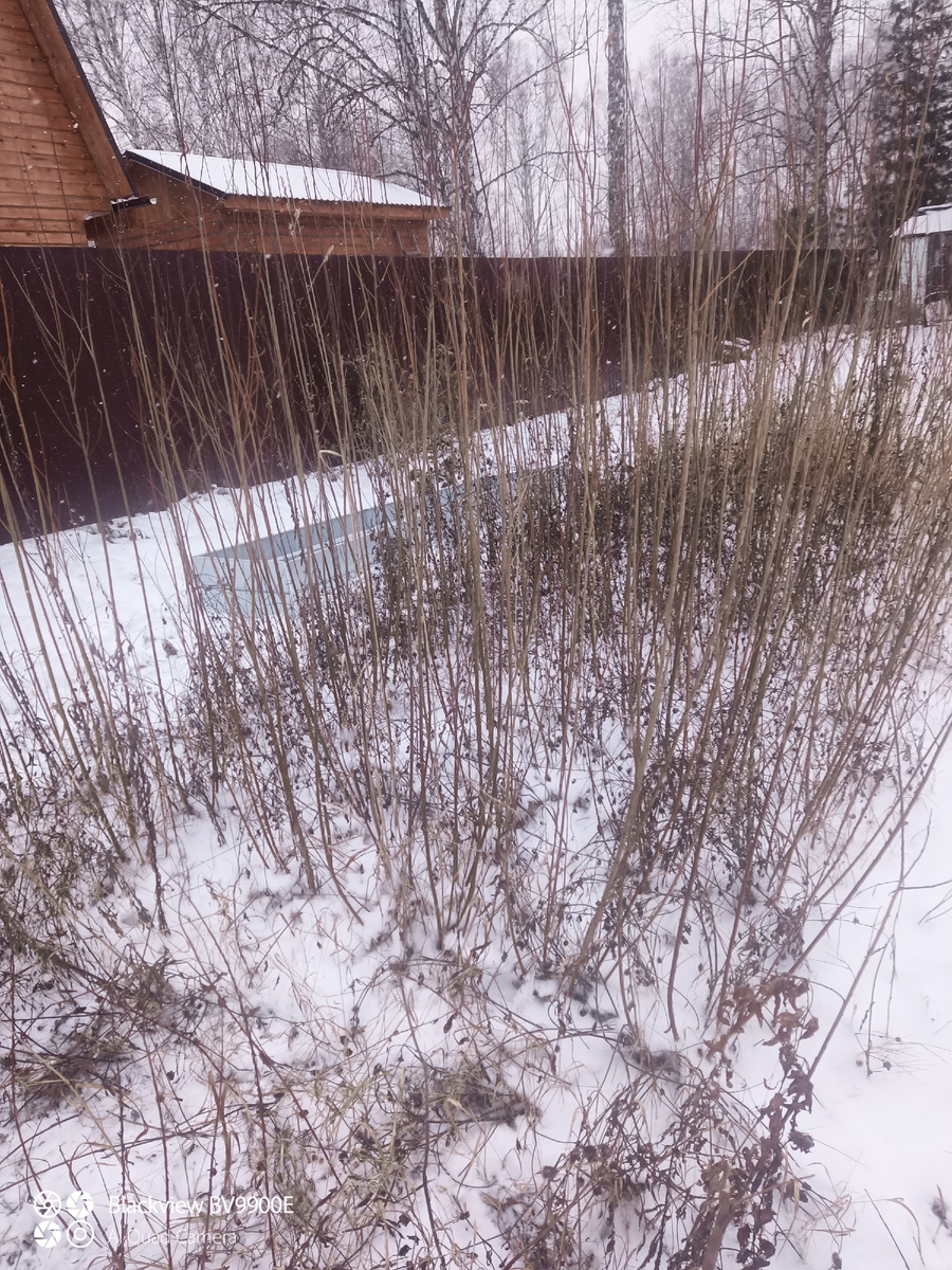 Будем резать!!!