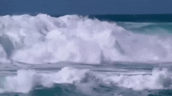 Фото: Яндекс картинки