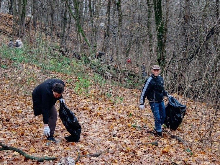     Фото: ТГ-канал Дмитрия Денисова