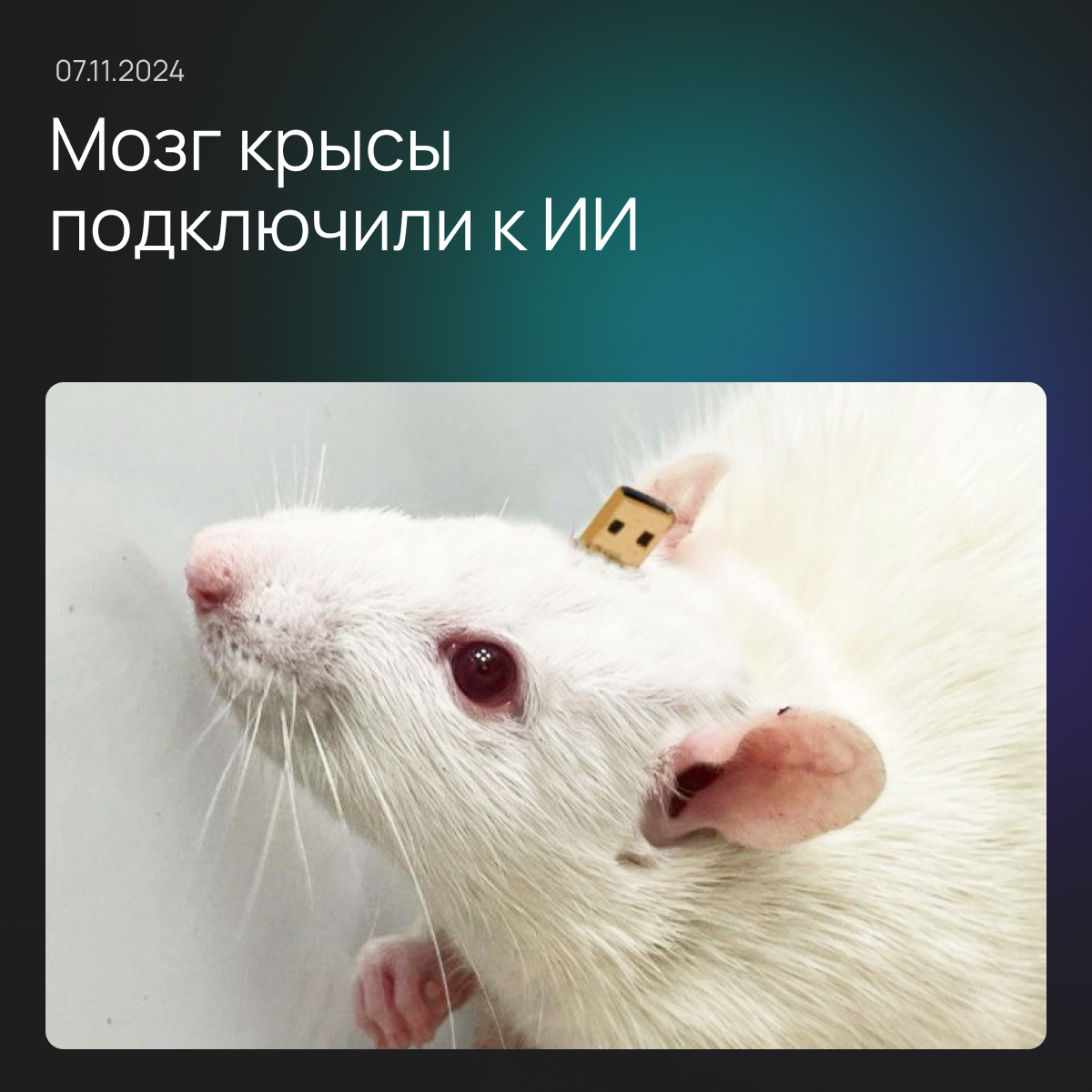 Пифия (с) Neiry