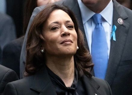     / Источник: © Global Look Press