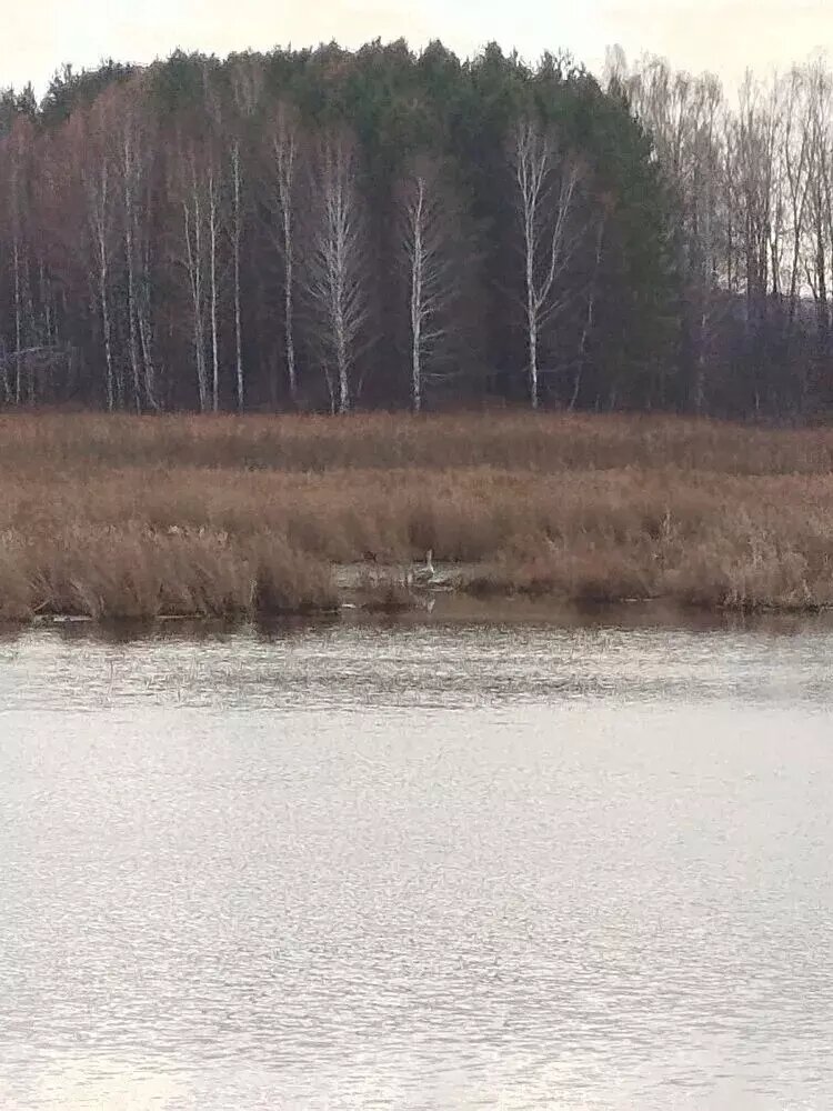     Источник: Vladimir Elfimov