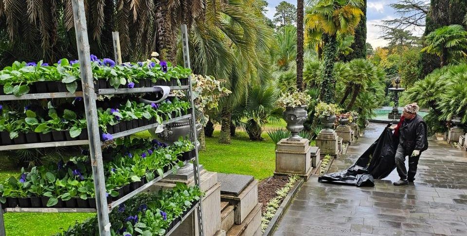    Фото: пресс-служба Сочинского национального парка