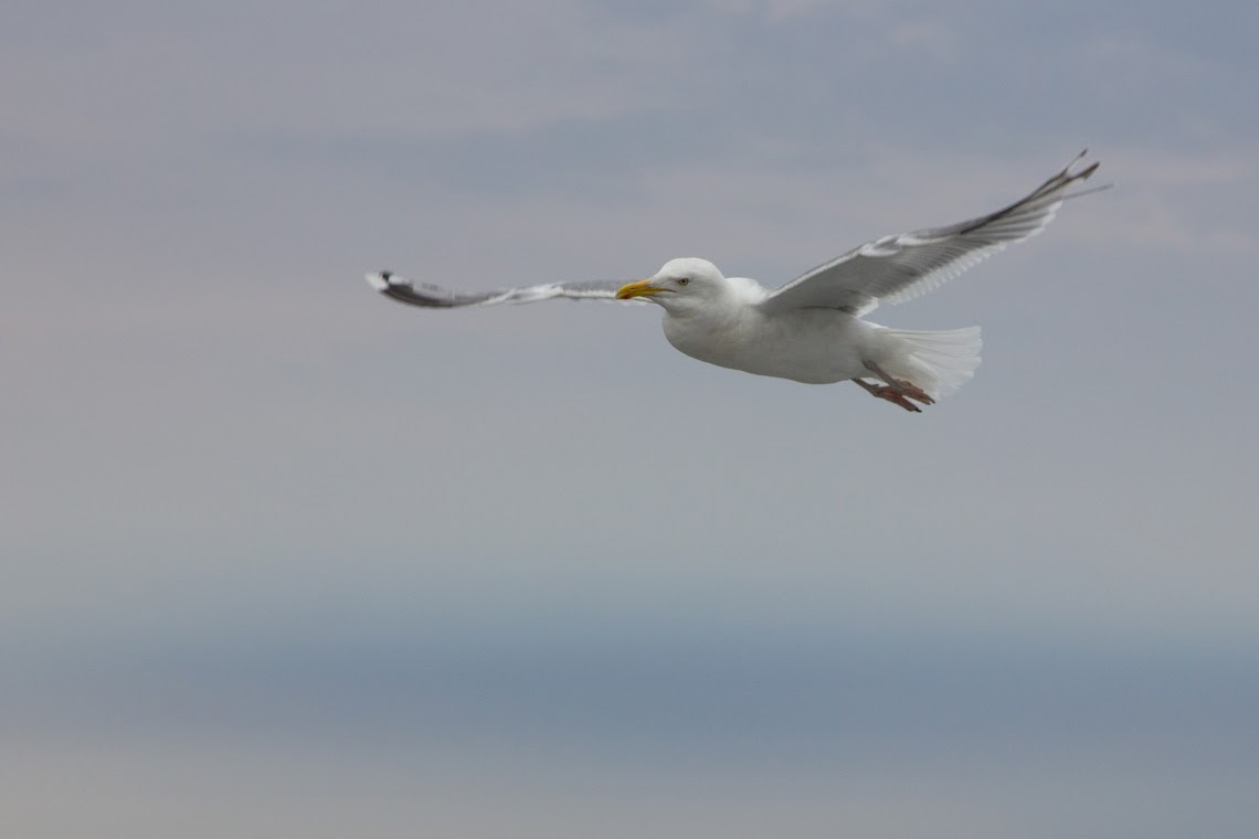 Смотрите все фото