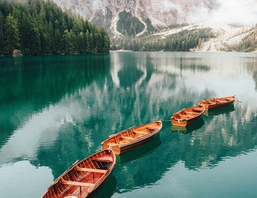 Источник: https://unsplash.com/ 