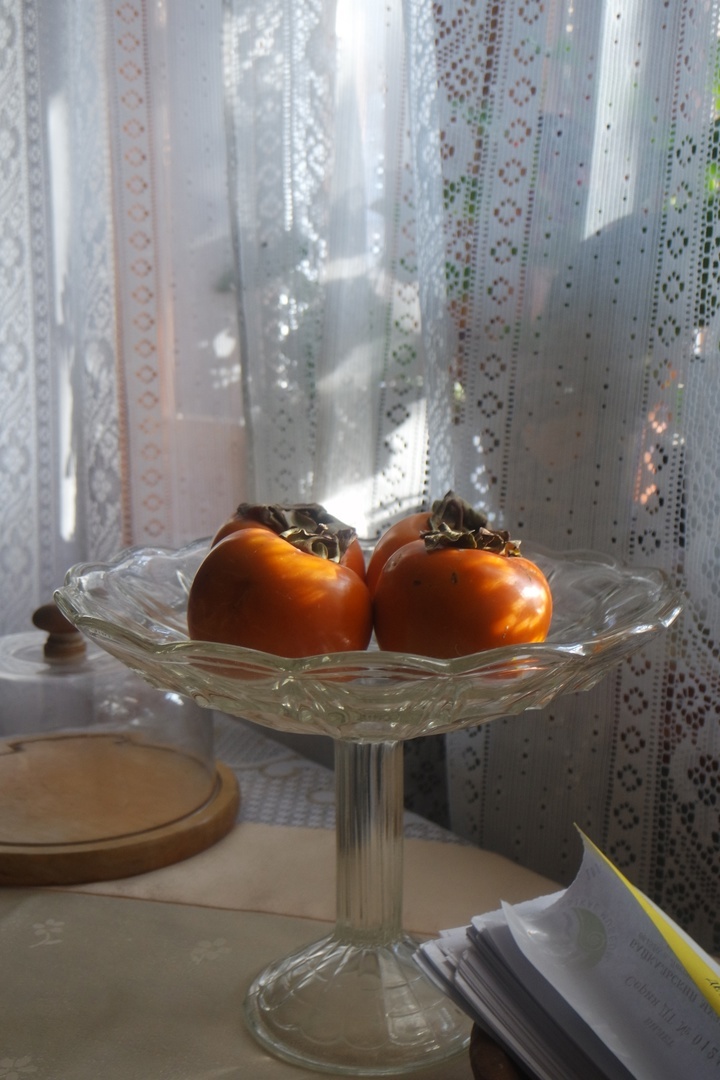 плоды ноября во всей красе, во всём божественном сиянии