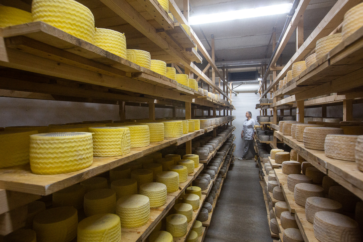 Подвалы, где созревает сыр, выстроенные учениками Н.В. Верещагина по его технологиям. Конаковский сыродельный завод "Верещагин". Конаково, Тверская область. Фото автора статьи 