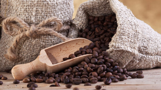    Уганда намерена увеличить поставки кофе и какао в Россию Андрей Бурков