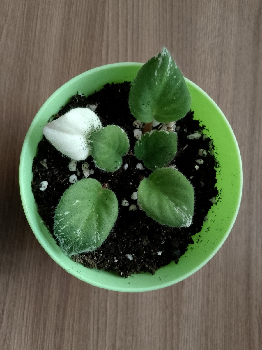 (фото из архива автора)