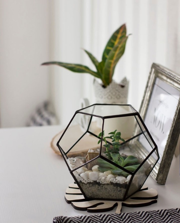    Соцсети gardeningknowhow