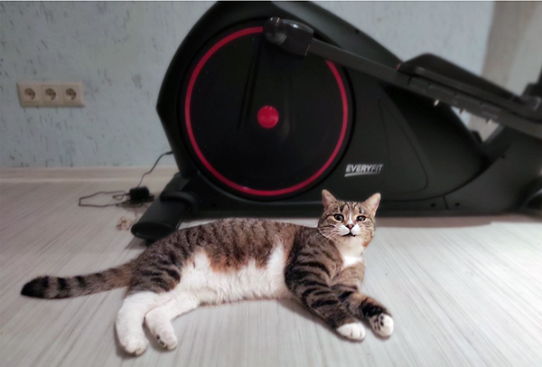 И для чего здесь тренажер? Ведь я и так в отличной форме!